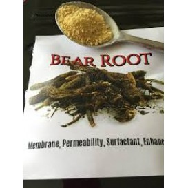 Bear Root Respiratory Support